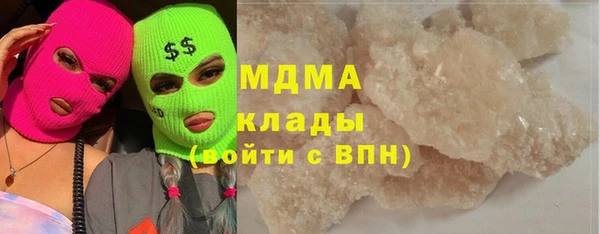 шишки Верея