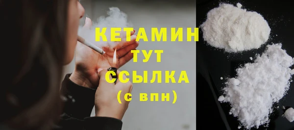 шишки Верея