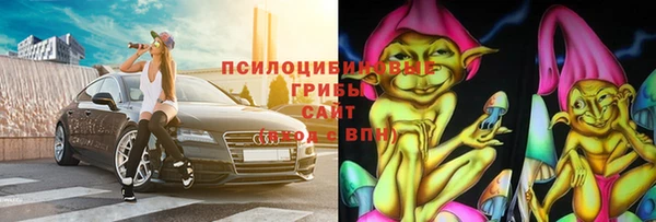 шишки Верея